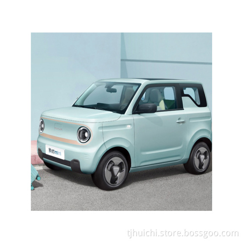 Electric Geely Panda Patrol Auto 4 posti